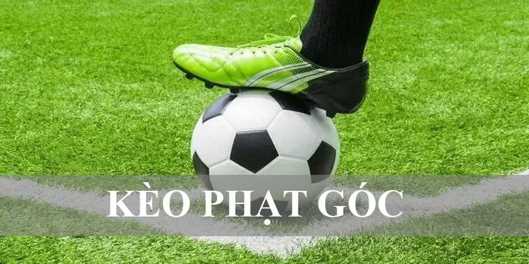 Quả Phạt Góc Trong Bóng Đá: Bí Quyết Chiến Thắng Của Các Đội Tuyển 1 Quả Phạt Góc Trong Bóng Đá: Bí Quyết Chiến Thắng Của Các Đội Tuyển